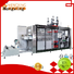 high precision tray forming machine universal for sale
