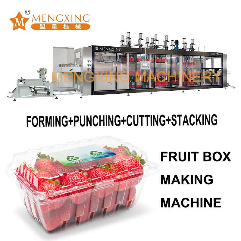 Mengxing 4 stations thermoforming machine Fruit box making machine